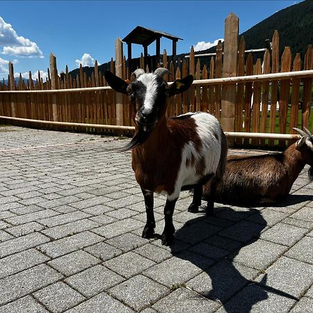 Planca di SopraPichlerhofアパートメント エクステリア 写真